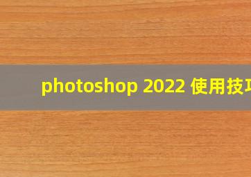 photoshop 2022 使用技巧